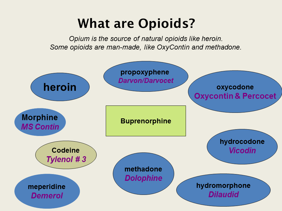 What Are Opioids?